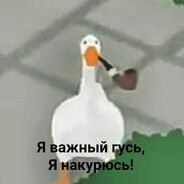 Я Важный Гусь!!!