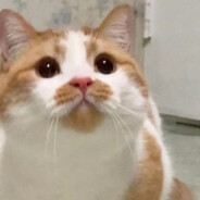 广东粉红美少女