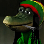 [ГОЙДА] крокодил г