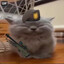 Avatar of M'aiq