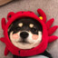 难言