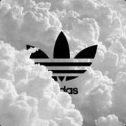 全场唯一预言家