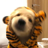 想吃什么地上捡