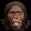 Australopithecus