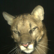nstnk's avatar