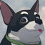 toma awa's avatar