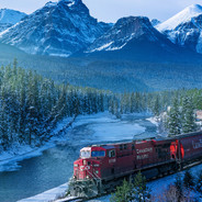 因为一只蝙蝠而在线