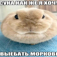УжинЗаСекс