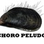 CHORO PELUO
