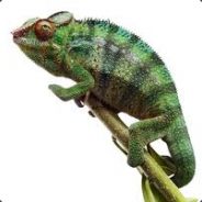 Barti  ale czasem i Kameleon