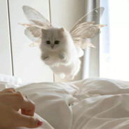 元气少女李云龙