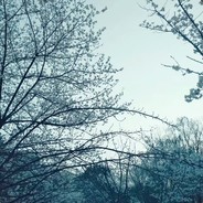 不在状态的ZywOo