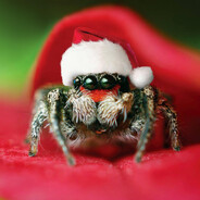 SPooder