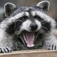 YouNot - steam id 76561198114557025