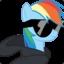 RainbowDash