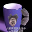 小猫老弟