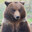 Bearcraft34