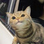 KOYO's avatar