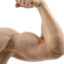 zxc biceps
