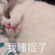 小楼一夜听春雨