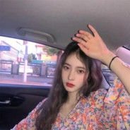 傳統の愛中華芙蓉王源