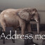 Address me