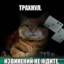 ёбырь тимура