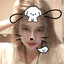 I think she trolling)