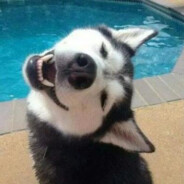 妳女朋友真嫩丶