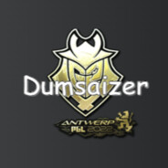 Dumsaizer