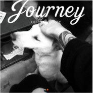 我家羊丢了可以给我寄8只羊么