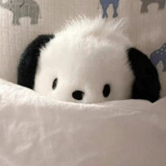 天之骄子车某人