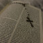Jesus is king