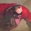 Dog Liker