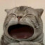广州季伯常