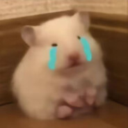 来自现实的老鼠人