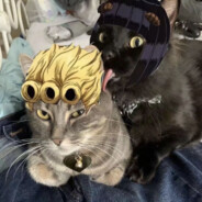 香港卫生委员谭耀文