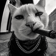 𝕯𝖔𝖘𝖍𝖐𝖆_ℌ𝔏 Steam avatar