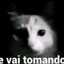 Governo da Silva