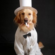 我就是夏落咋的