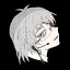 Elisianthus