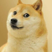 我是新城 我在九良良岛上空 这里一切正常