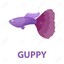 Guppy