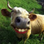 Spotted Cow