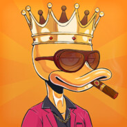 ProffesoR - steam id 76561199273989308