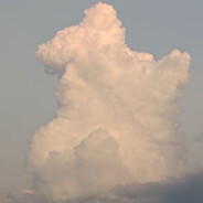 补药被北美大灰狼干翻了