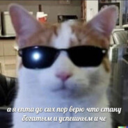 AwpStyle - steam id 76561199417290291