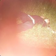 GROS BICEPS HARD - steam id 76561198024735599