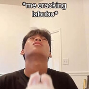 *me cracking labubu*