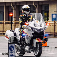 多情剑客无情剑